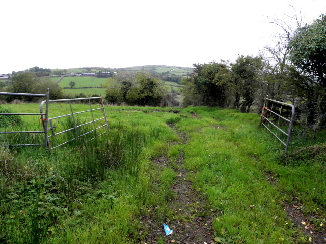 An open field, Dooish © Kenneth Allen :: Geograph Ireland