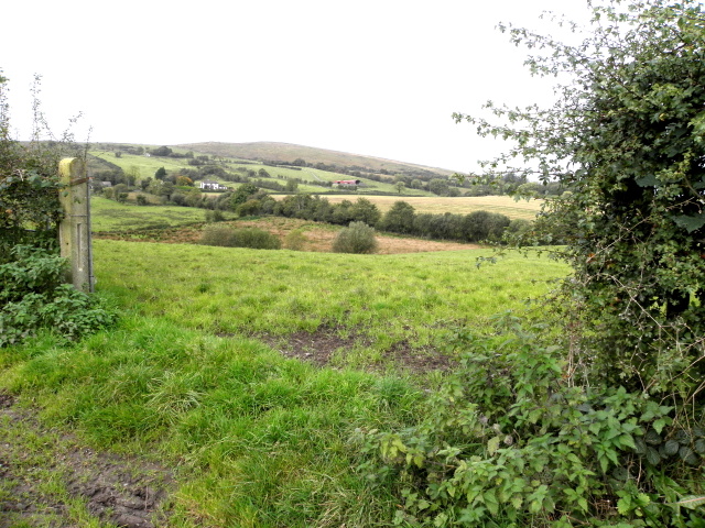 An open field, Curraghmulkin © Kenneth Allen cc-by-sa/2.0 :: Geograph ...