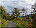 NH6691 : Fairy Glen road east of Kyloag by Peter Moore