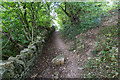 Footpath near old quarry workings