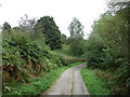 Bridleway on Bringsty Common