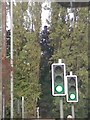 UK Green Traffic Light