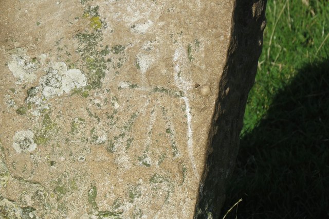 Benchmark on boundary stone, Studland Hill