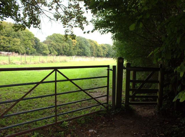 Path towards Priestlands Wood
