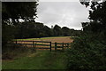 Gate on the path towards Priestlands Wood