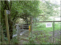 ST7660 : Wellow Brook path by Neil Owen