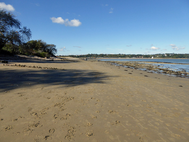 Beach, Bembridge © Robin Webster cc-by-sa/2.0 :: Geograph Britain and ...