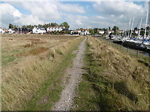TQ9564 : The Saxon Shore Way alongside Conyer Creek by Marathon