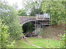 ST7660 : Back garden bridge by Neil Owen