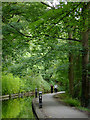 Towpath at Llangollen, Denbighshire