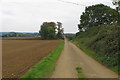 Trees by the Old School House on the track to Lillingstone Dayrell