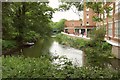 Hogsmill River at Knights Park