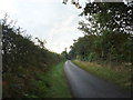 Lane towards Covehithe