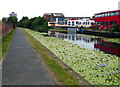 Towpath along the Leeds and Liverpool Canal