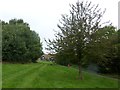 Open space and footpath in Gamston