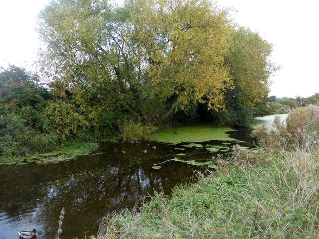 The Grantham Canal near Bassingfield