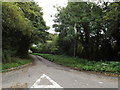 TM1590 : Mill Lane, Aslacton by Geographer