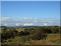 Holcombe Firing Ranges to Winter Hill