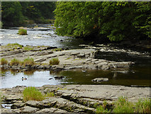 SJ2142 : The rocky bed of the River Dee near Llangollen, Denbighshire by Roger  D Kidd