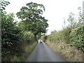 Minor road towards Saxmundham