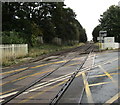 Railway from Nantwich towards Crewe