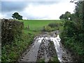 Bridleway south from Colby Lane, after rain