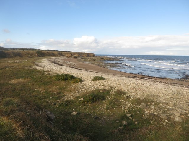 Beach north of Souter Point