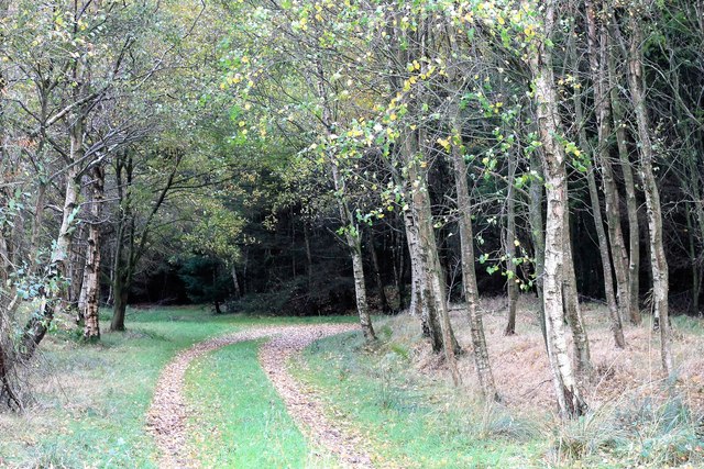 Cairnfauld Path