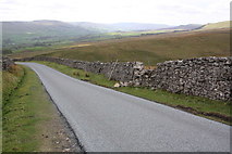 SD9592 : Road towards Askrigg at Green Mea by Roger Templeman