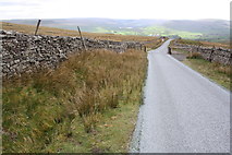 SD9592 : Road past cattle grid towards Askrigg by Roger Templeman
