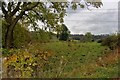 Farmland at Hallhill