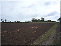 Field near Vale Farm