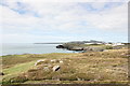 View from the Anglesey Coastal Path