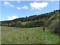 Field edge footpath near Oakeley farm