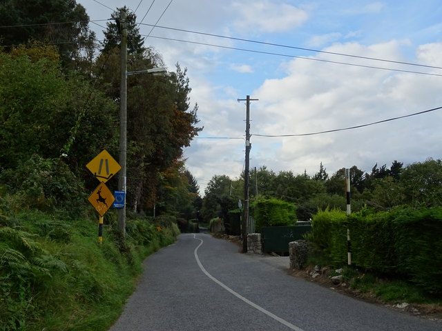Woodside Road, near Sandyford, South Dublin