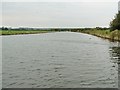 Wildlife on the River Weaver