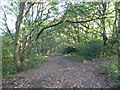 Wood Lane: footpath to Apedale Country Park