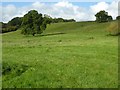 Farmland near Bicton