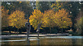 Autumn Colours, Victoria Park, Hackney, London