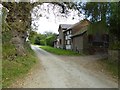 Road onto Bircher Common