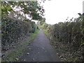 Wood Lane: path along north side of village