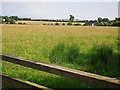 View across a field from California Lane