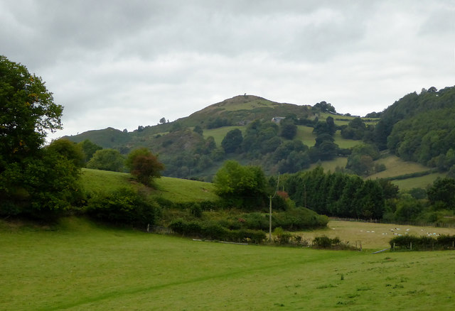 Pasture north-east of Glyndyfrdwy, Denbighshire