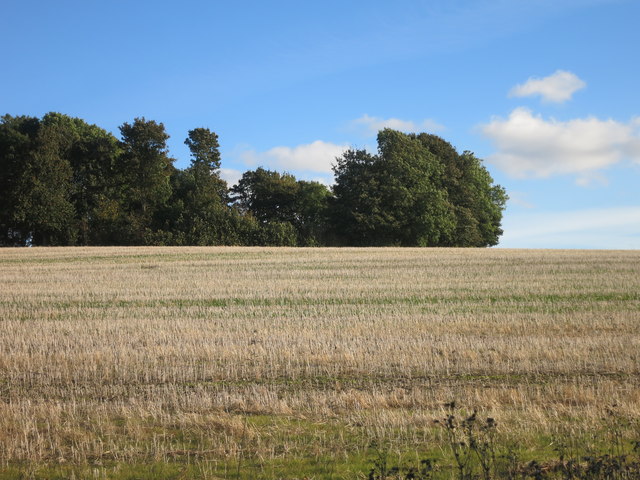 The End of Nine Acre Wood © Des Blenkinsopp cc-by-sa/2.0 :: Geograph ...