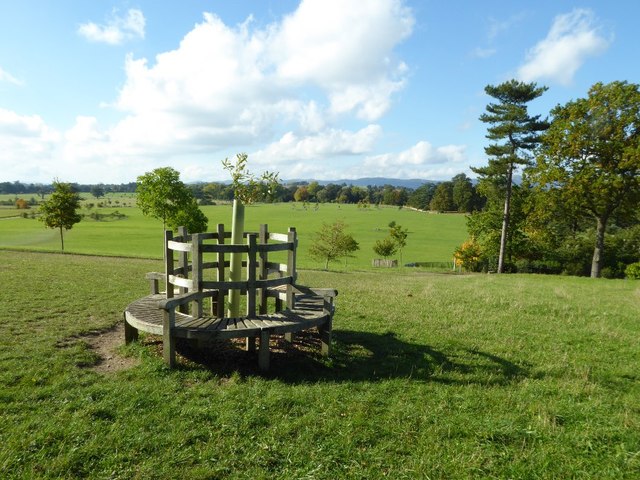 Seat at the entrance to Croome Park