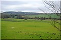 Floodplain of the Great Stour