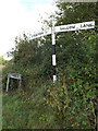 TM1791 : Signpost & Hall Lane sign by Geographer