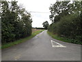 TM1690 : Hallowing Lane, Great Moulton by Geographer
