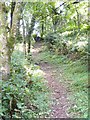 SN0105 : Woodland path near Bank Farm by Gordon Hatton