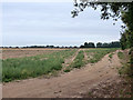 Fallow field near Halfway House Farm